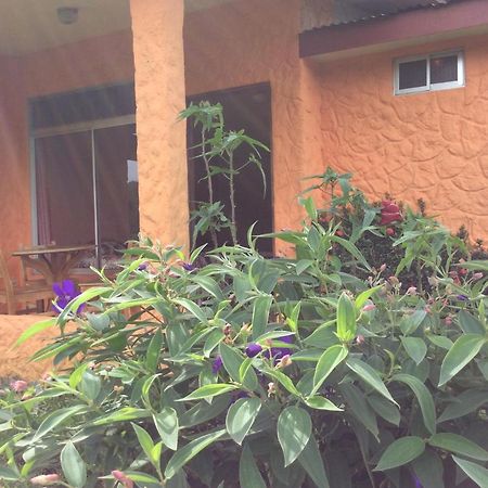 فندق La Fortunaفي  Cabinas Los Guayabos المظهر الخارجي الصورة