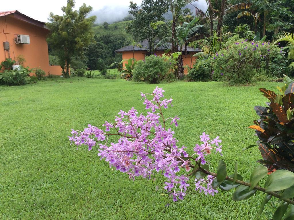 فندق La Fortunaفي  Cabinas Los Guayabos المظهر الخارجي الصورة