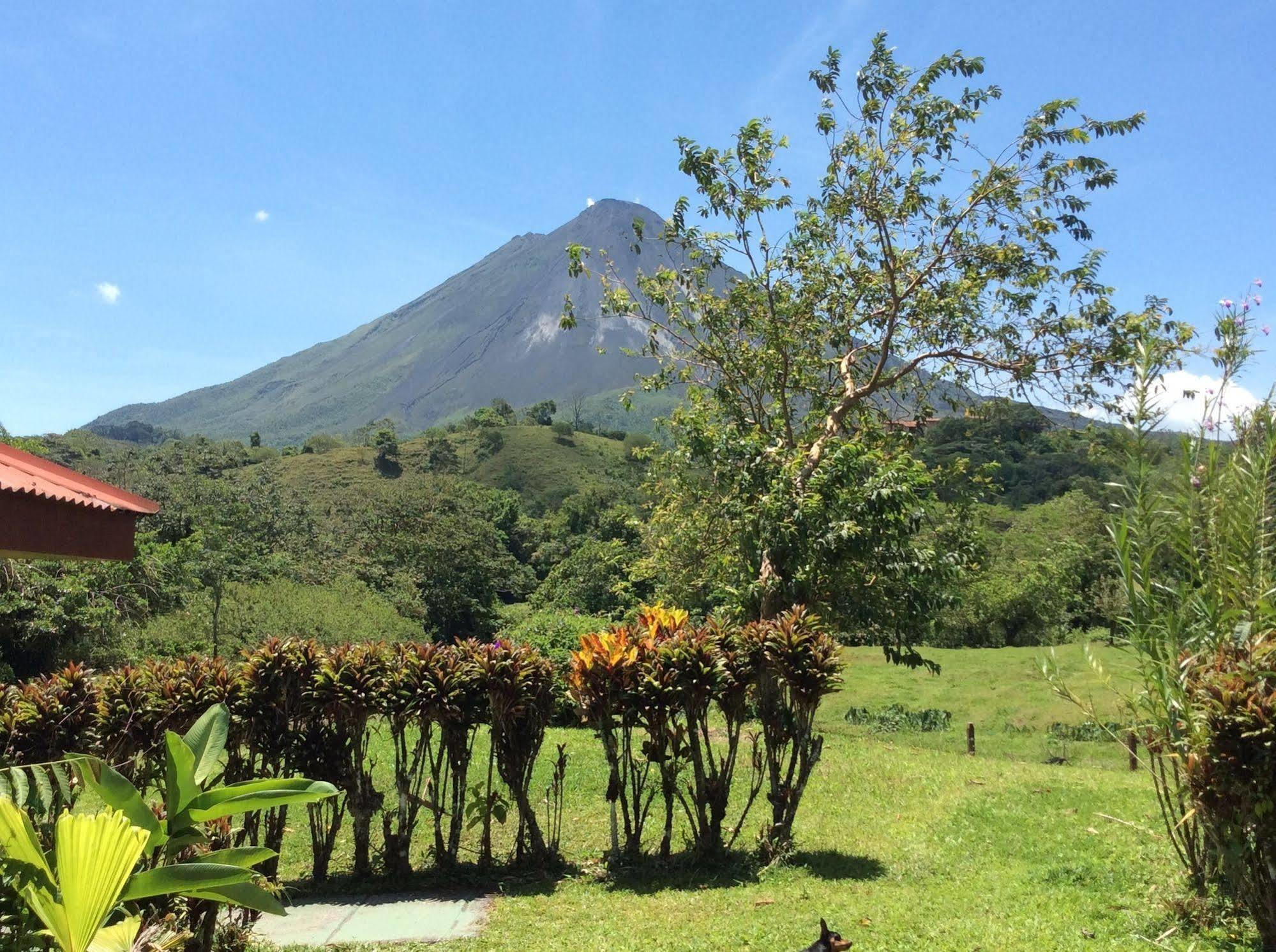 فندق La Fortunaفي  Cabinas Los Guayabos المظهر الخارجي الصورة